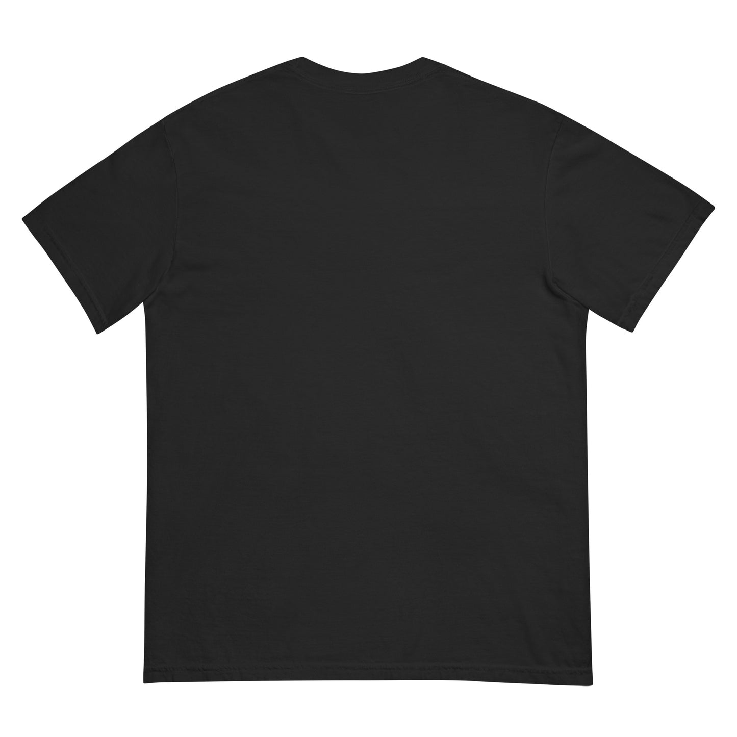 A plain black t-shirt, laid flat and viewed from the back on a white background.